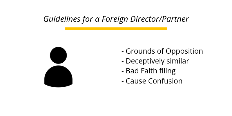Guidelines for a Foreign Director/Partner