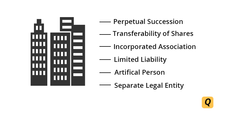 Features of a Company