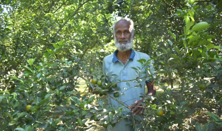 তারাগঞ্জে কমলা চাষ করে স্বাবলম্বী কৃষক আলেপ উদ্দিন