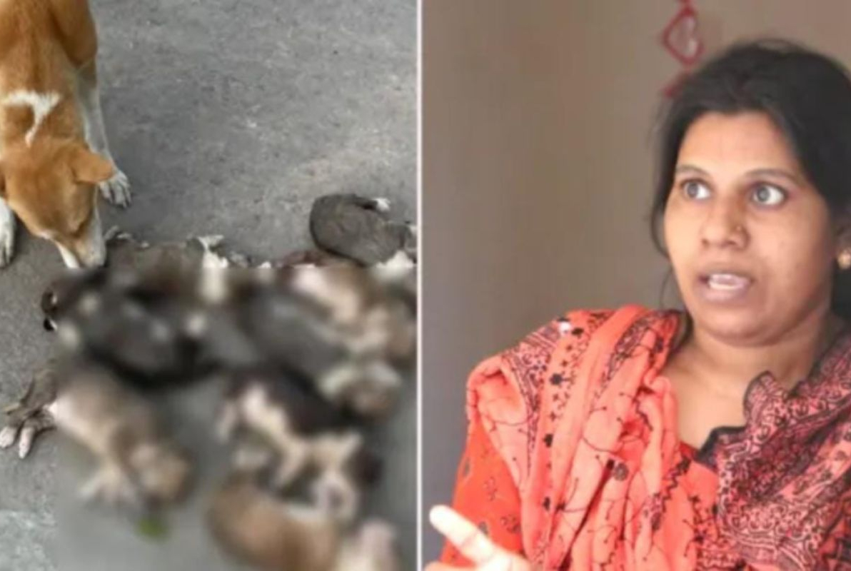 আট কুকুরছানা হত্যা মামলা দায়ের: সরকারি কর্মকর্তার স্ত্রী গ্রেপ্তার