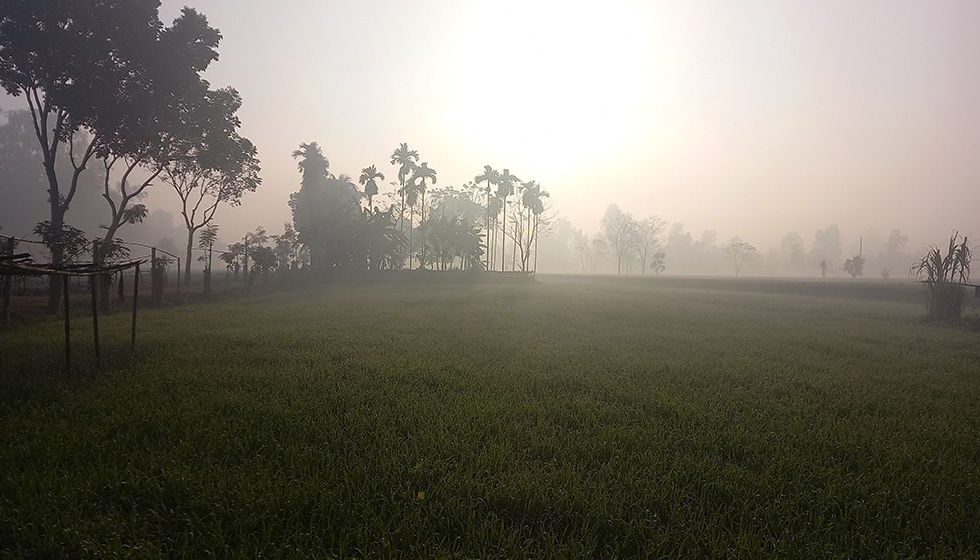 দেশের সর্বনিম্ন তাপমাত্রা আজও তেঁতুলিয়ায়, পারদ নেমেছে ৭ ডিগ্রিতে