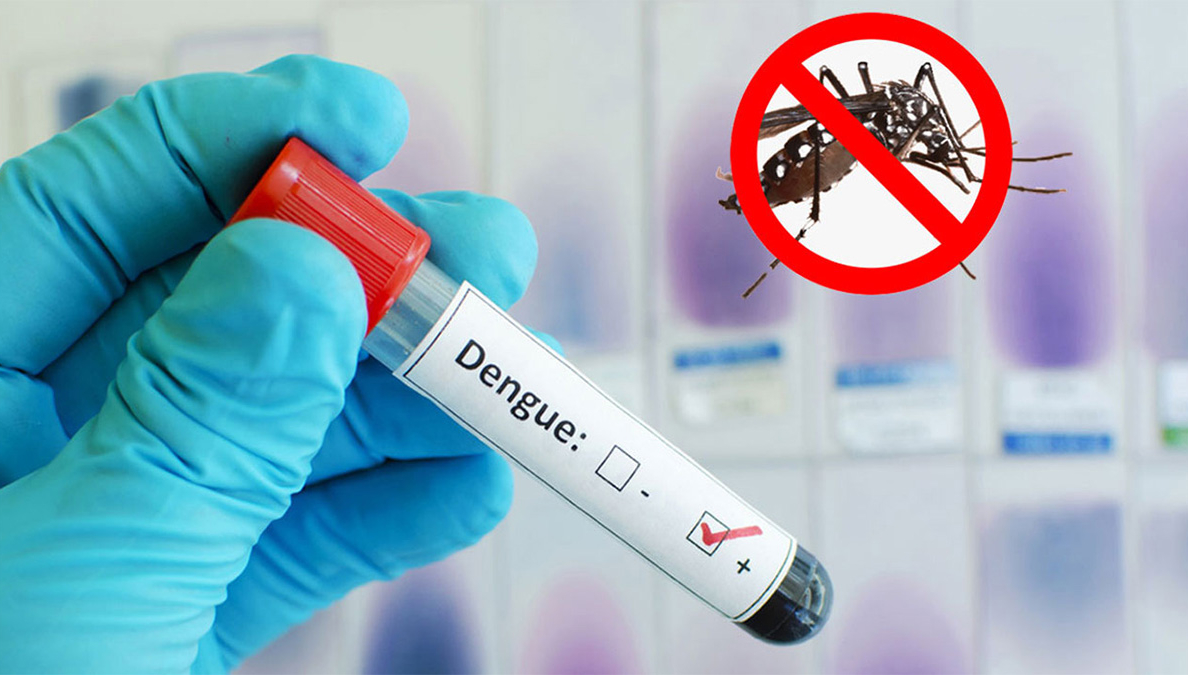 চব্বিশ ঘণ্টায় ডেঙ্গুতে ৩ জনের মৃত্যু