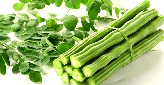 সজনে ও লাজনা চেনার উপায় কি