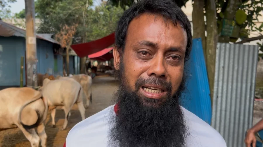 ফেনীতে র্যাব ক্যাম্পের পাশেই অস্ত্রের মুখে গরু ছিনতাই