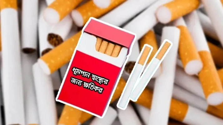 কোন সিগারেটের দাম কত হলো