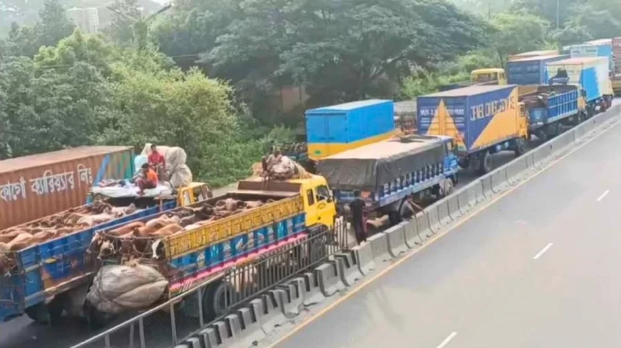ঢাকা-চট্টগ্রাম মহাসড়কের গজারিয়ায় ১৩ কিলোমিটার যানজট, চরম ভোগান্তি