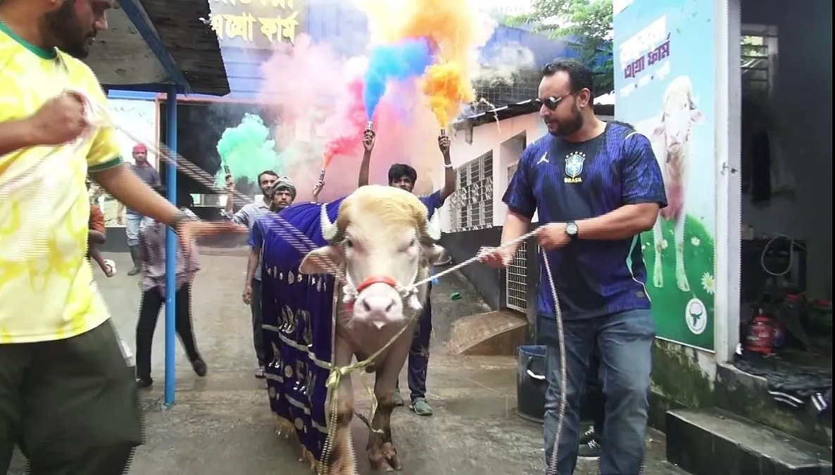 ভাইরাল মহিষ ‘ডোনাল্ড ট্রাম্প’-কে লালগালিচায় রাজকীয় বিদায়
