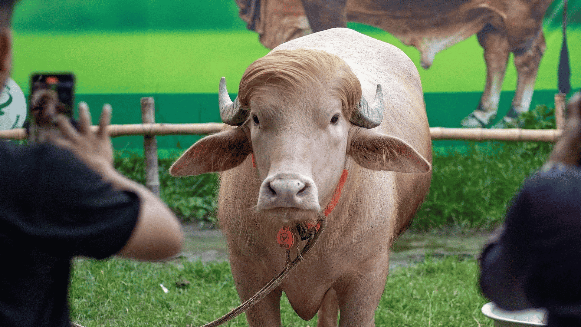 জাতীয় চিড়িয়াখানা থেকে বিএলআরআই-এ ‘ডোনাল্ড ট্রাম্প’