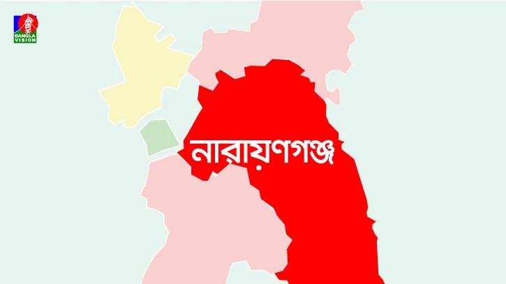 ঘুরতে গিয়ে মেঘনায় গোসলে নেমে নিখোঁজ দুই স্কুলছাত্র
