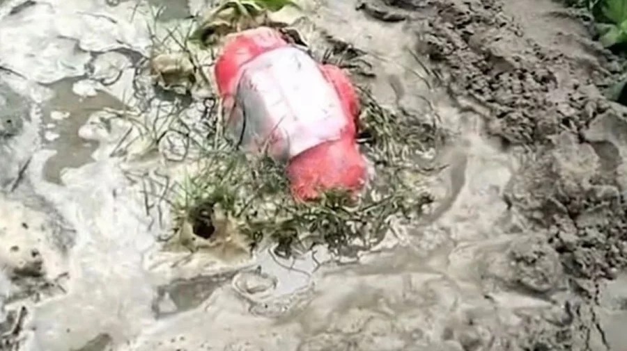 চুয়াডাঙ্গায় ‘জয় বাংলা’ লেখা বোমাসদৃশ বস্তু উদ্ধার