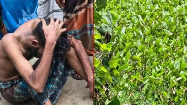 কচুরিপানার নিচে সাড়ে ৩ ঘণ্টা লুকিয়েও রক্ষা পেল না চোর