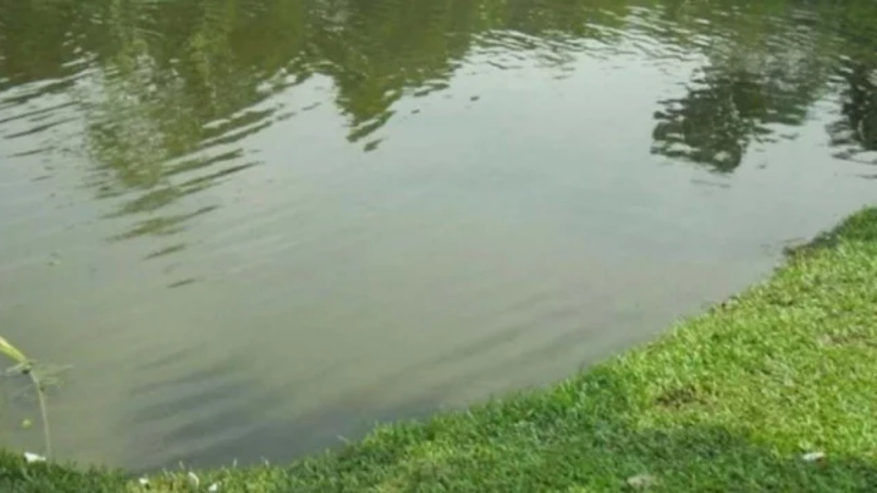 ছোট ভাইকে বাঁচাতে গিয়ে বড় ভাইয়েরও মৃত্যু