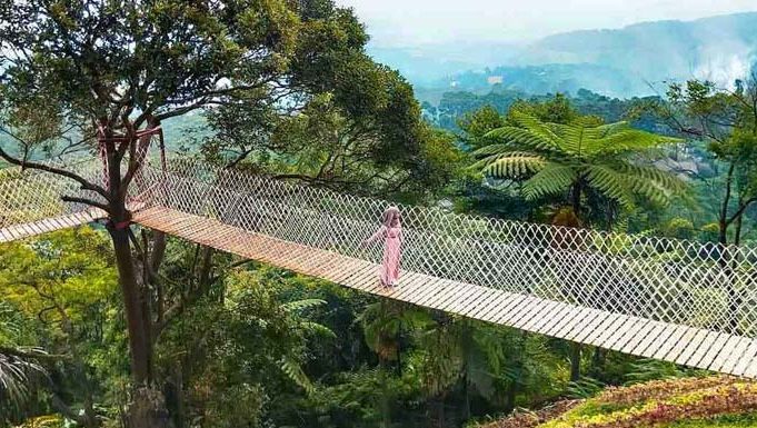 Bingung Cari Tempat Wisata Murah? Ke Bukit Halimun Saja | RADAR BOGOR