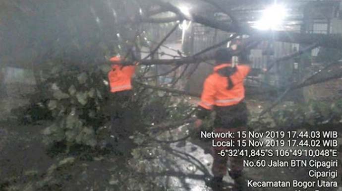 Petugas BPBD Kota Bogor memotong pohon yang tumbang di Ciparigi. (Instagram/bpbd.kotabogor
