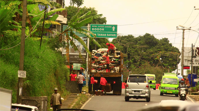 Sampah-Puncak