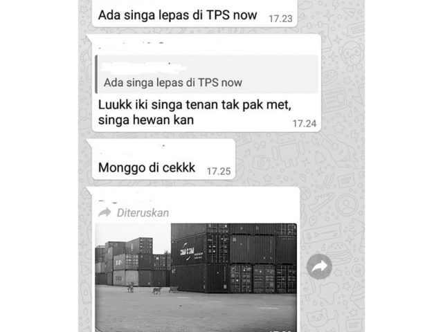 Hoax singa betina berkeliaran di TPS (media sosial)