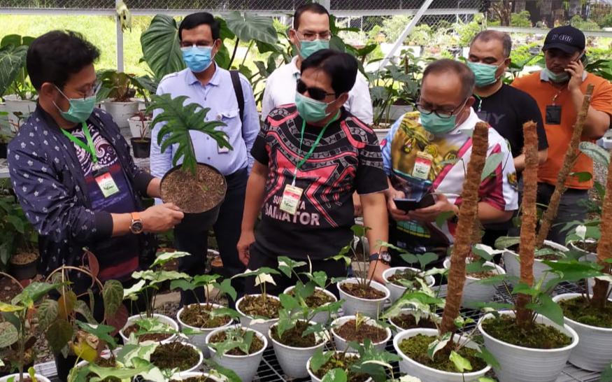 Kunjungi Pasar Tanaman  Hias  Bogor  Menteri Pertanian 