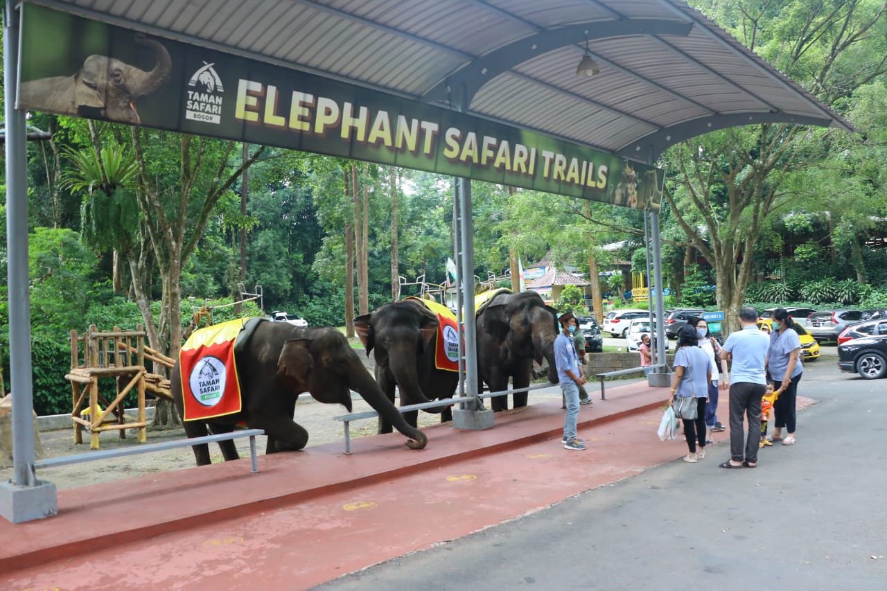 taman safari 1 bogor