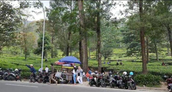Parkir liar di kawasan puncak Bogor