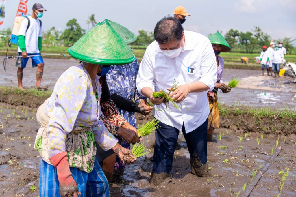 Jaga Ketahan Pangan, Menko Airlangga Dukung Smart Farming Petani Milienal
