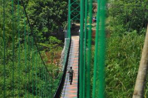 Pemkab Bogor Targetkan 30 Jembatan Rawayan Lagi di 2023
