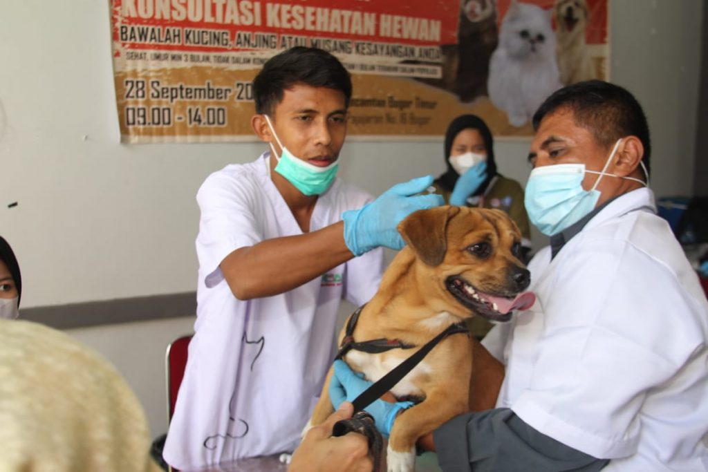 anjing yang akan di vaksin rabies yang dilakukan oleh DKPP KOta Bogor dalam rangka hari rabies sedunia, Rabu (27/9/2022). Sofyansyah/Radar bogor.