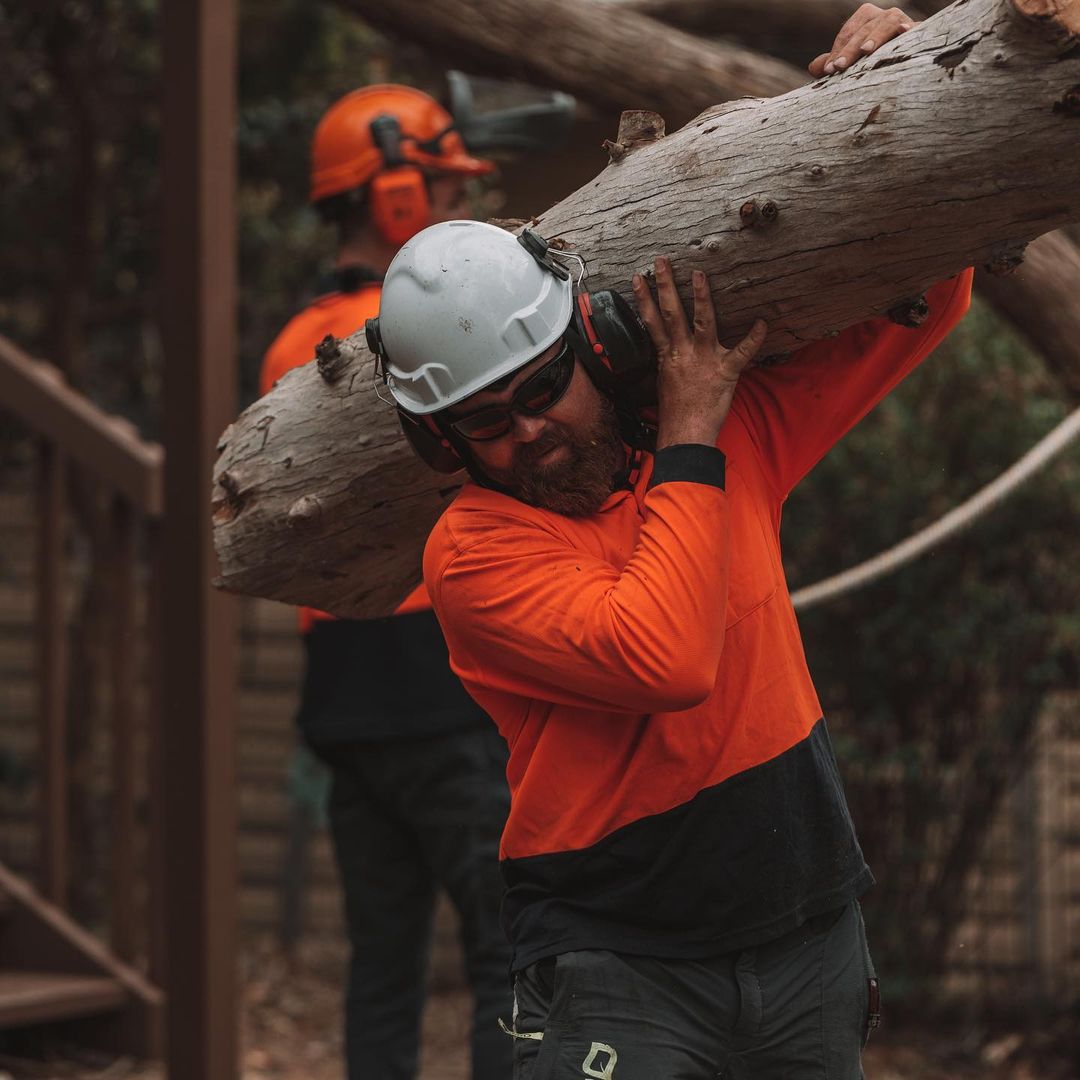 Stump Removal Inner West