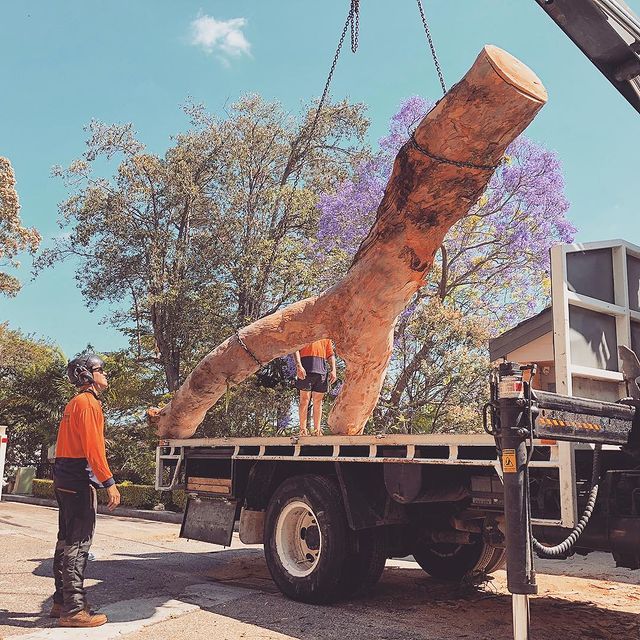 Inner West Tree Lopper