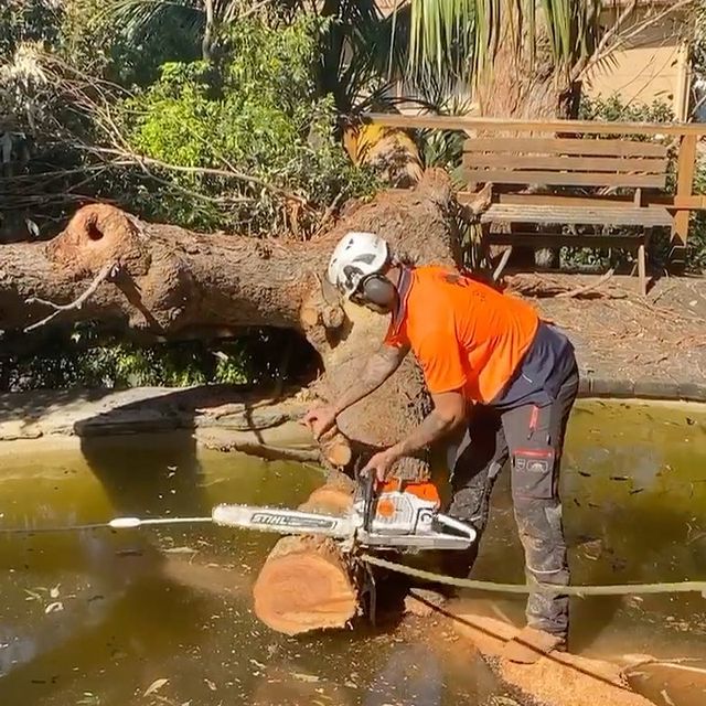 Stump Grinding Inner West