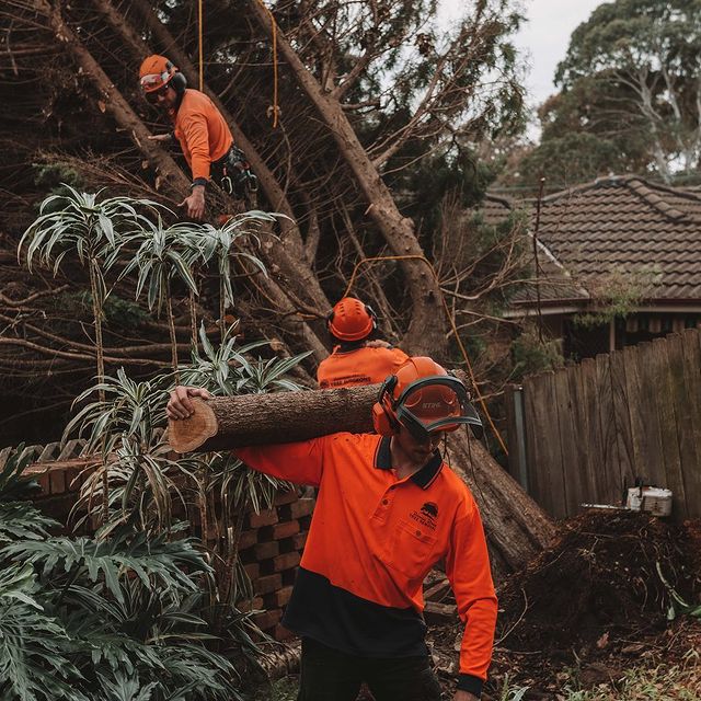 Stump Grinding Inner West