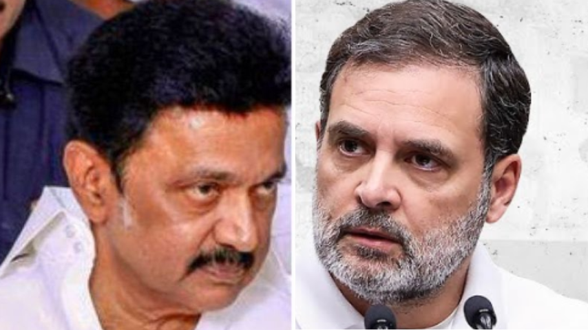 डीएमके का कांग्रेस पर तीखा हमला, राहुल गांधी को 'अपरिपक्व' बताया