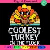 coolest-turkey-in-the-flock-svg-cutest-turkeys-svg-coolest-turkey-svg-thanksgiving-2021-svg-turkey-thanksgiving-svg