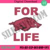 arkansas-razorbacks-embroidery-download-file-arkansas-razorbacks-machine-embroidery