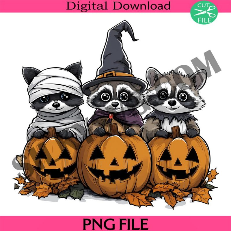 raccoon-png-halloween-raccoon-png-raccoon-pumpkin-png-raccoon-witch-png-pumpkin-png-raccoon-mummy-png-spooky-vibes-png