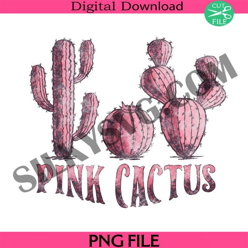 pink-cactus-png-design-cactus-illustration-cute-cactus-cactus-drawing-cactus-png-cactus-clipart-boho-bohemian-we