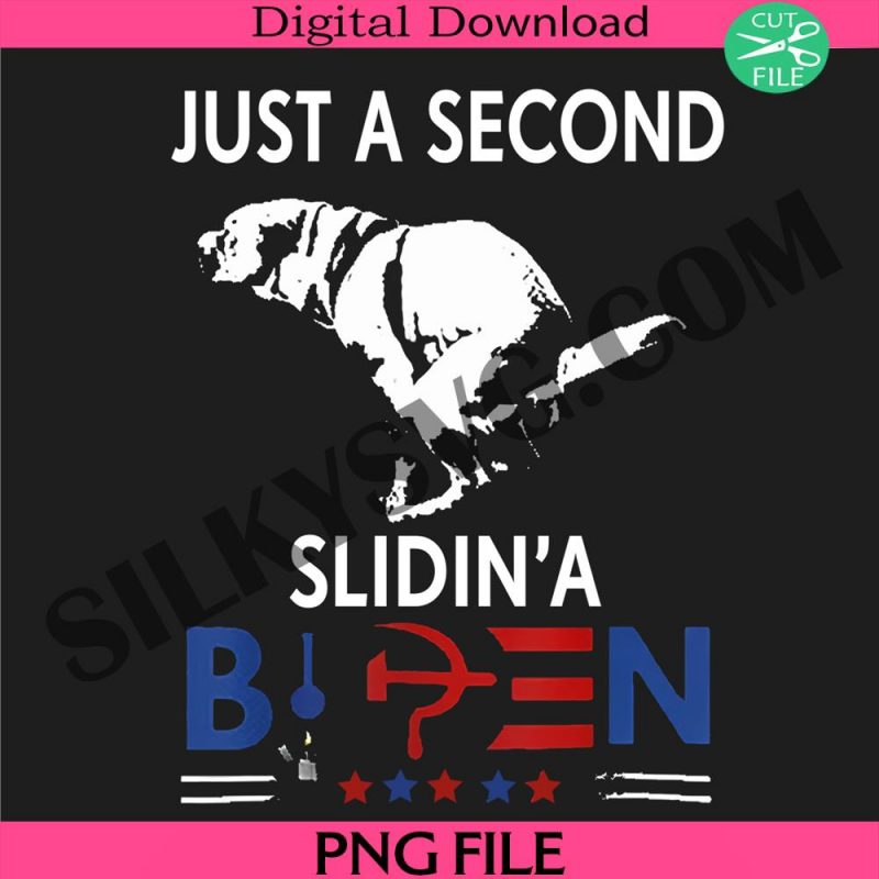 just-a-second-slidin-a-biden-png-joe-biden-png-election-2024-png-vote-for-felon-png-biden-patriotic-png