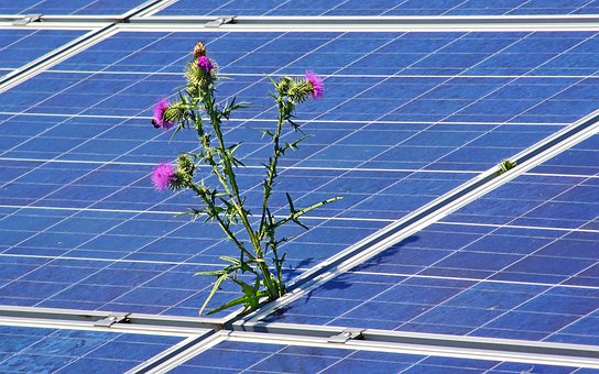 Cost To Install Solar Panels Concord North Carolina