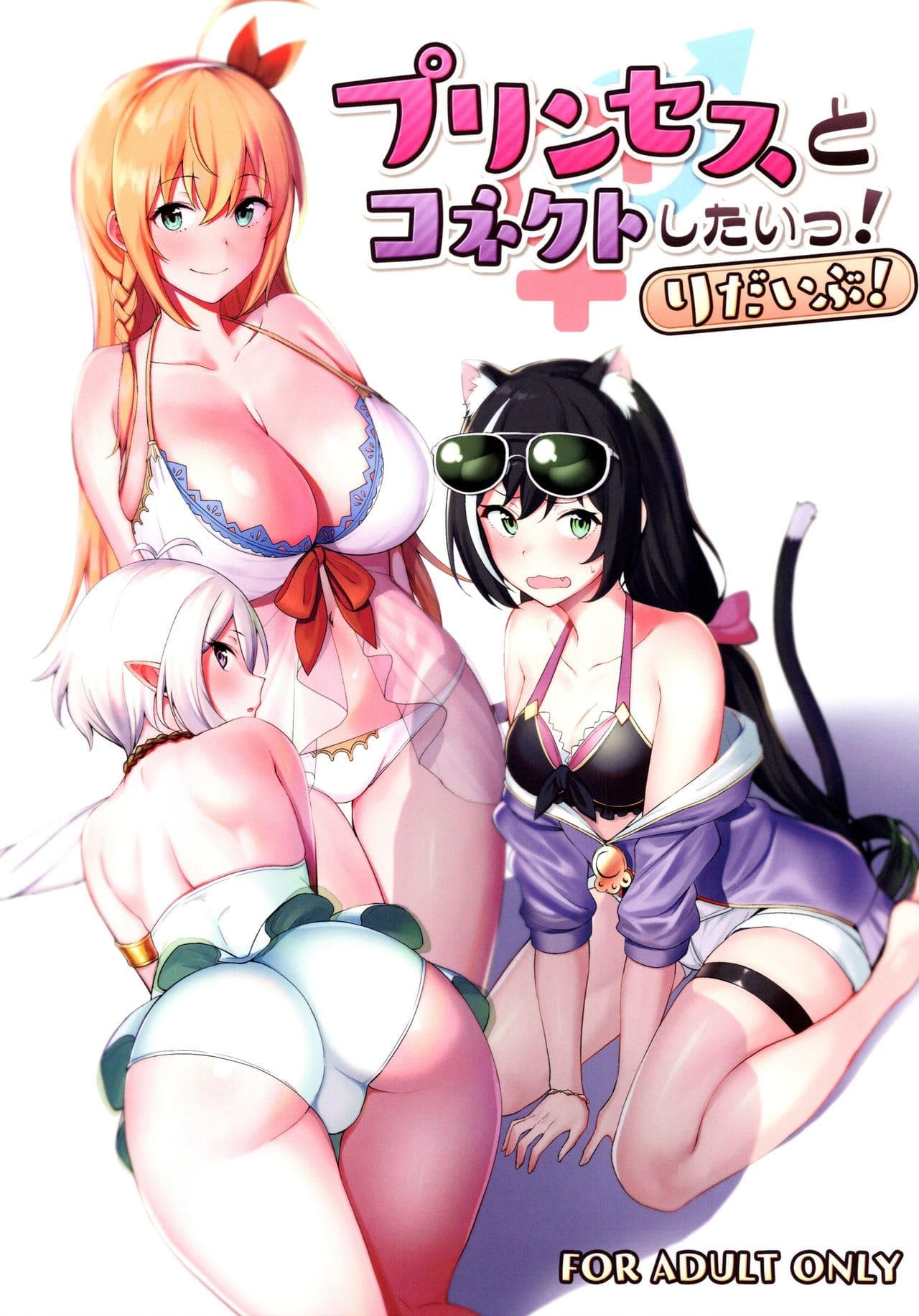 Princess to Connect Shitai! ReDive! (Princess Connect! Re:Dive) Bahasa Indonesia