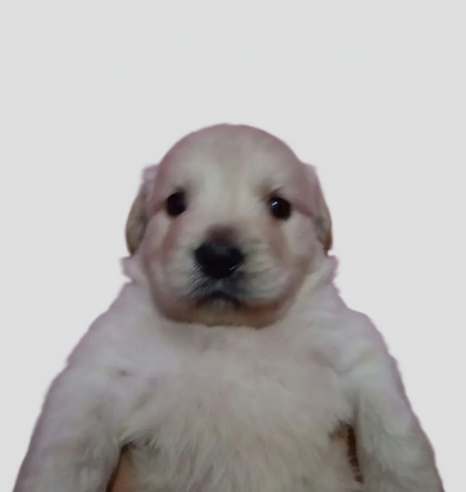 Nelann Lloyd Sabando