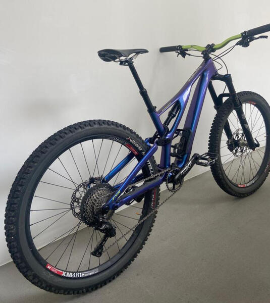 Specialized Enduro Carbon | Togoparts Rides