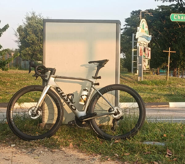 Grey wolf  | Togoparts Rides