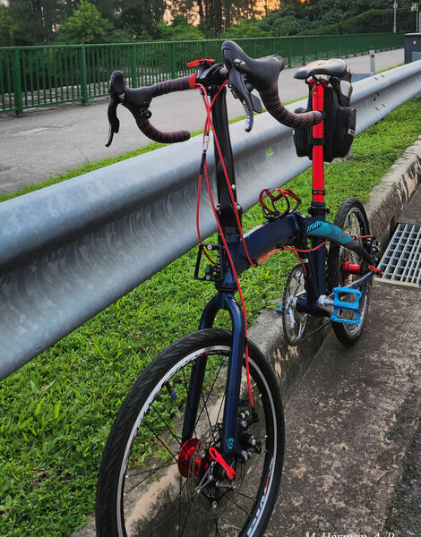 Screech  | Togoparts Rides