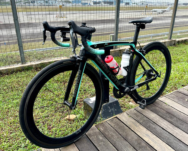 Bianca | Togoparts Rides