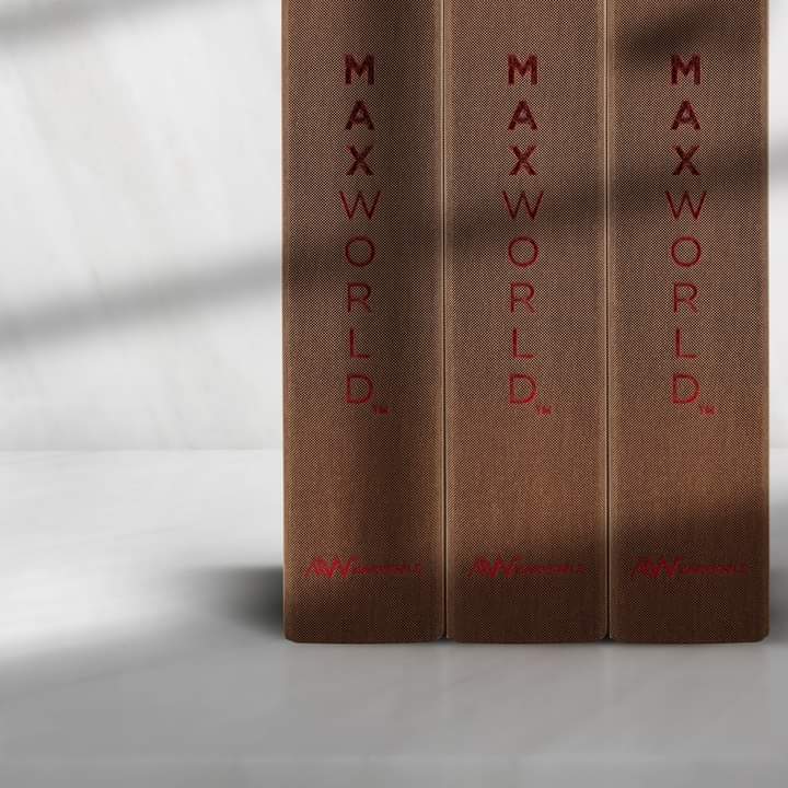 Max World Manufacturing Sdn Bhd image 3