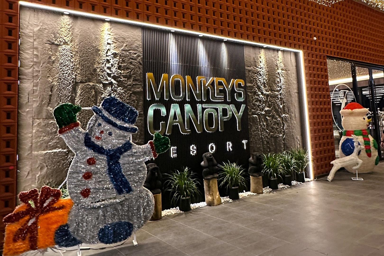 Monkeys Canopy image 1