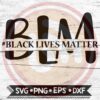 Black Lives Matter 1 1