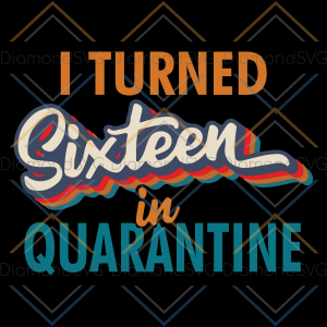 I Turned sixteen in Quarantine svg, 16th birthday svg, 16 birthday