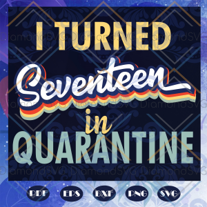 I turned seventeen in quarantine svg, 17th birthday svg, happy