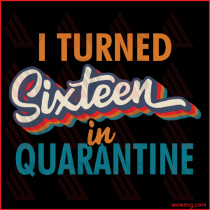 I Turned sixteen in Quarantine svg, 16th birthday svg, 16 birthday