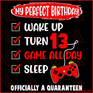 Officially A Quaranteen 13 Years Old Svg, Birthday Svg, Perfect